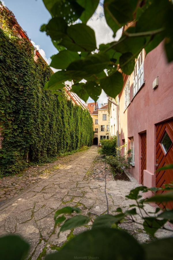 Medieval Home تالين المظهر الخارجي الصورة
